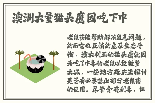 把英语课代表按着抄蘑菇
